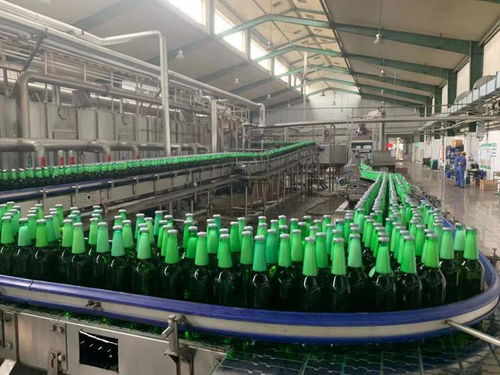 一表集成、自動計算 上海17稅費種綜合申報賦能企業智慧辦稅